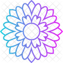 Decoration  Icon