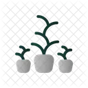 Plant Pot Home Icône