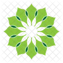Decorative flower  Icon