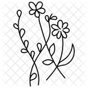 Decorative Flower Flower Design Floral Design Icon