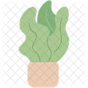 Decorative House Plant Gardening Take Care Of Plants Icon