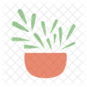 Decorative house plant in ceramic pot  Icon