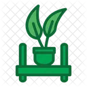 Decorative plant  Symbol