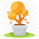 Decorative Pot Houseplant Potted Plant Icon