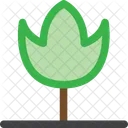 Decorative tree  Icon