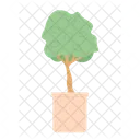 Decorative Tree Potted Plant Dwarf Bonsai Tree Icône