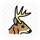 Deep Animal Wild Icon