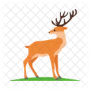 Animal Wildlife Deer Icon