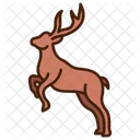 Animal Wildlife Mammal Icon
