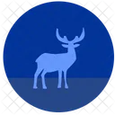 Deer Nature Animal Icon