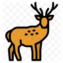 Deer Zoo Animal Icon