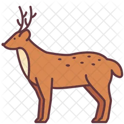 Deer  Icon