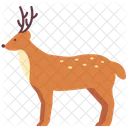 Zoo Animal Deer Icon