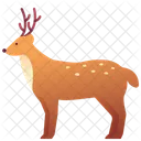 Zoo Animal Deer アイコン