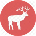 Deer Elk Mammal Icon