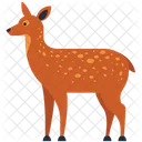 Deer Animal Wild Animal Icon
