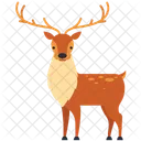 Deer Animal Wild Animal Icon