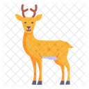 Animal Deer Reindeer Icon