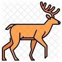 Wildlife Animal Deer Icon