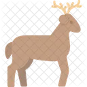Deer Reindeer Animal Icon
