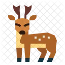 Deer Animal Wildlife Icon