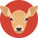 Kid Goat Animal Icon