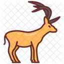 Deer Stag Fawn Icon