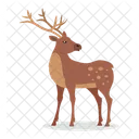 Deer Eurasia North Icon