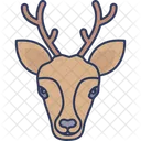 Deer Face Frontal View Face Icon