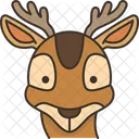 Deer Face  Icon