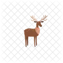 Deer Animal Reindeer Icon