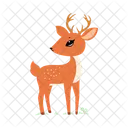 Deer Buck Stag Icon