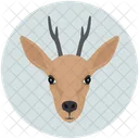 Deer Animal Christmas Icon