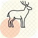 Deer Icon