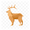 Deer  Icon