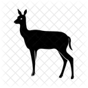 Deer  Icon