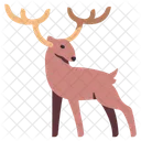 Deer  Icon