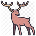 Deer Forest Nature Icône
