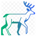 Deer  Icon