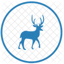 Deer  Icon