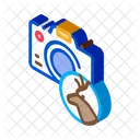 Deer Photo  Icon