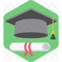 Degree Certificate Diploma Icon