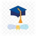 Degree Certificate  Icon