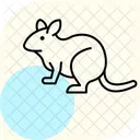 Degu Animal De Compagnie Mammifere Icône
