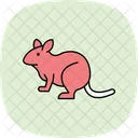 Degu Animal De Compagnie Mammifere Icône