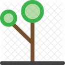 Kaktus Okologie Garten Symbol