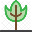 Natur Wald Pflanze Symbol