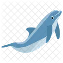 Delfin Caricatura Saltando Delfin Saltando Icono