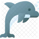 Delfin Pez Animal Icono