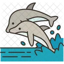 Delfines Animales Marinos Icono